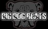 Picture for song 'Slow Jam' by artist 'Big Dog Beats'