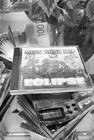 Picture for song 'Get Em Greezy' by artist 'bigGreezy'