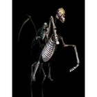 Picture for song 'Something to stop death' by artist 'Billy Brillant'