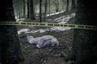Picture for song 'The Murder' by artist 'BlackiceEntt'
