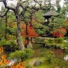 Picture for song 'Kyoto Garden' by artist 'BlitzWater'