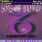 Picture for song 'CAPRICORN KING' by artist 'BLOWUP SCHOOL'