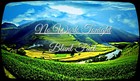 Picture for song 'No Work Tonight (Instrumental)' by artist 'Blunt Fact'