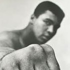 Picture for song 'Champion Creed ((SOLD))' by artist 'Bobby Castro Beats'