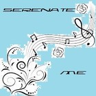 Picture for song 'Serenate Me' by artist 'Bo n' the Blue Collar 40'