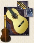 Picture for song 'Leo Brouwer - Un Dia Di Noviembre' by artist 'Boros Gabor'