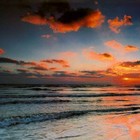 cover pic