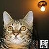 Picture for song 'The Dander Lion' by artist 'Brap'