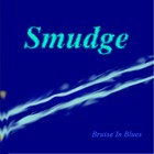 Picture for song 'Digital Irritation' by artist 'Bruise In Blues'