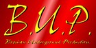 Picture for song 'B.U.P. Anthem (2006)' by artist 'BUP n DJ KICO'