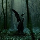 Picture for song 'Morning Prayer' by artist 'Burden Of Solitude'