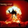 Picture for song 'cheese' by artist 'burning camel productions'