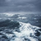 Picture for song 'Bag me & Tag me' by artist 'Burt Crow'