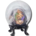 Picture for song 'Call of the Spirits' by artist 'businez boi'