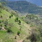 Picture for song 'Flex that Baby | FREE DL' by artist 'buybeatsandtracks.com'