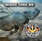 Picture for song 'WINGS TAKE ME AWAY' by artist 'BZ VOLT'