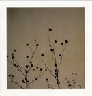 Picture for song 'A Red Red River' by artist 'Caleb Hutton'