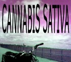 Picture for song 'Loose Lips Sink Ships (Remastered)' by artist 'Cannabis Sativa'