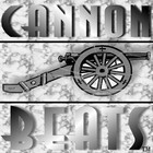 Picture for song 'Weird Thing' by artist 'CannonBeats'