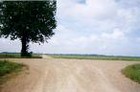 Picture for song 'Crossroad Blues' by artist 'Carlos Carranza'