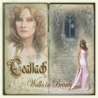 Picture for song 'Walks In Beauty' by artist 'Ceallach'