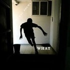 Picture for song 'Maybe the willow' by artist 'Central Dogma'