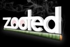 Picture for song 'Zooted' by artist 'Certifiedbeatzondatrack'