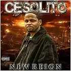 Picture for song 'GET U RIGHT (Feat. Fedaro)' by artist 'Cesolito'