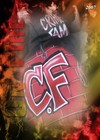 Picture for song 'fire' by artist 'cf2def'