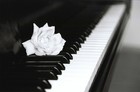 Picture for song 'piano for my sisters' by artist 'chadalexanderproductions'
