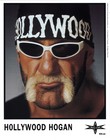 Picture for song 'HULK HOGAN' by artist 'Chain Gang MUSIC GROUP'