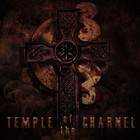 Picture for song 'Born Wicked' by artist 'CHR - The Free Shit'