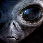 Picture for song 'Starstruck' by artist 'CHUCK DIESEL'