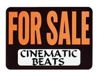 Picture for song 'Girl You Are (snippet)' by artist 'Cinematic Beats'