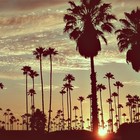 Picture for song 'Lifes Trip 72.5 bpm (Free Download) Untagged' by artist 'Cliff Da Spliff Productions'