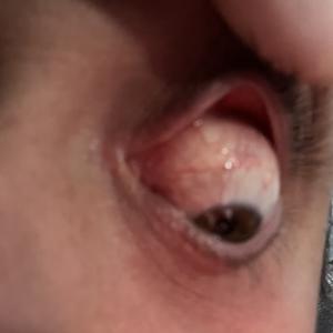 Picture for song 'Tube Korea' by artist 'Cliprecordingstudio beats'