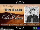 Picture for song 'Dirt Roads' by artist 'Cole Adams'