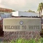 Picture for song 'police brutality' by artist 'cuzzinsquad'