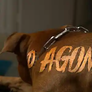 Song picture