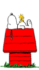 Picture for song 'Ace1Snoopy' by artist 'Danny Howe'