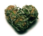 Picture for song 'Nuthin' by artist 'DAREALxxHiGhTiMeZxxGDP'