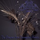 Picture for song '02 - The Fragrance from Decomposed Flowers' by artist 'Dark Isolation'