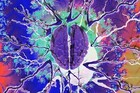 Picture for song 'Chemical Kiss' by artist 'daves91'