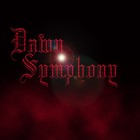 Picture for song 'test' by artist 'Dawn Symphony'