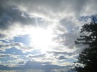 Picture for song 'Defined Illness - Let Me Free' by artist 'Defined Illness'
