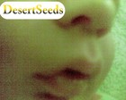Picture for song '008_You Are My Safe Place_DesertSeeds_CCYM_SC09' by artist 'Desert Seeds'