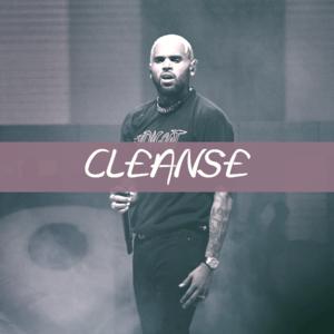 Picture for song 'Cleanse (Chris Brown x Gunna Type) - Devezin.com' by artist 'Devezin'