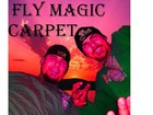 Picture for song 'Fly Magic Carpet' by artist 'Diamond Sharp Records'