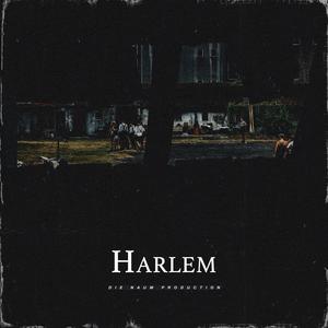 Picture for song 'HARLEM (Travis Scott X Don Toliver X Trap Beat)' by artist 'Die Naum Production'