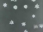 Picture for song 'Snare Flake' by artist 'DistortionSix'